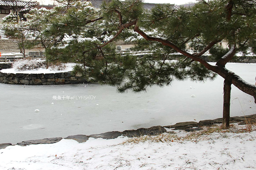 韓國首爾。下大雪的東廟、南山谷韓屋村(남산골한옥마을)、 土