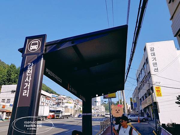 松島天空步道SKY WALK,松島雲端散步路,甘川洞文化村到松島,交通資訊,公車路線