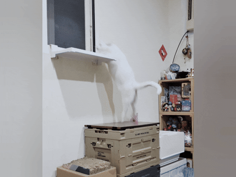 奧沛,OurPet,寵物活力充沛,跟著飼料丟一顆,適口性極好,0化學添加,CP質高,狗狗關節保健食品推薦,貓咪關節保健食品推薦,貓咪關節保養,貓用關節營養品,貓咪關節健康,OurPet貓用關沛錠,葡萄糖胺貓咪,貓咪關節保健ptt,貓咪關節保健dcard,老貓 保健食品 Dcard,貓咪關節炎治療費用,貓關節保健食品,奧沛貓用關沛錠,貓用關沛錠,奧沛評價,貓咪關節推薦,老貓維骨力,貓咪維骨力,貓咪軟骨素推薦,貓維骨力,貓用維骨力,寵物 軟骨素 奧沛,OurPet,寵物活力充沛,跟著飼料丟一顆,適口性極好,0化學添加,CP質高,狗狗關節保健食品推薦,貓咪關節保健食品推薦,貓咪關節保養,貓用關節營養品,貓咪關節健康,OurPet貓用關沛錠,葡萄糖胺貓咪,貓咪關節保健ptt,貓咪關節保健dcard,老貓 保健食品 Dcard,貓咪關節炎治療費用,貓關節保健食品,奧沛貓用關沛錠,貓用關沛錠,奧沛評價,貓咪關節推薦,老貓維骨力,貓咪維骨力,貓咪軟骨素推薦,貓維骨力,貓用維骨力,寵物 軟骨素