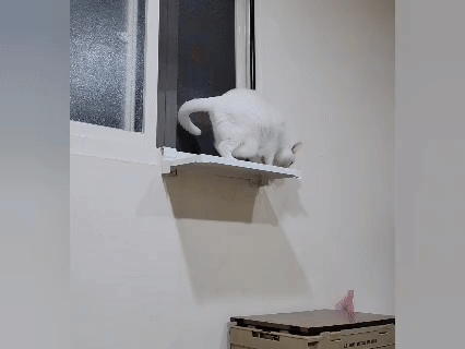 奧沛,OurPet,寵物活力充沛,跟著飼料丟一顆,適口性極好,0化學添加,CP質高,狗狗關節保健食品推薦,貓咪關節保健食品推薦,貓咪關節保養,貓用關節營養品,貓咪關節健康,OurPet貓用關沛錠,葡萄糖胺貓咪,貓咪關節保健ptt,貓咪關節保健dcard,老貓 保健食品 Dcard,貓咪關節炎治療費用,貓關節保健食品,奧沛貓用關沛錠,貓用關沛錠,奧沛評價,貓咪關節推薦,老貓維骨力,貓咪維骨力,貓咪軟骨素推薦,貓維骨力,貓用維骨力,寵物 軟骨素 奧沛,OurPet,寵物活力充沛,跟著飼料丟一顆,適口性極好,0化學添加,CP質高,狗狗關節保健食品推薦,貓咪關節保健食品推薦,貓咪關節保養,貓用關節營養品,貓咪關節健康,OurPet貓用關沛錠,葡萄糖胺貓咪,貓咪關節保健ptt,貓咪關節保健dcard,老貓 保健食品 Dcard,貓咪關節炎治療費用,貓關節保健食品,奧沛貓用關沛錠,貓用關沛錠,奧沛評價,貓咪關節推薦,老貓維骨力,貓咪維骨力,貓咪軟骨素推薦,貓維骨力,貓用維骨力,寵物 軟骨素