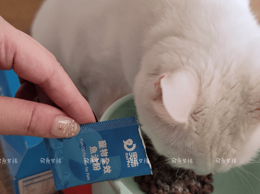 奧沛,OurPet,寵物活力充沛,適口性極好,0人工香料,CP值高,寵物魚油,魚油粉,貓魚油,狗魚油,奧沛ourpet貓用腸沛錠,奧沛ourpet犬用關沛錠ptt,奧沛dcard,貓咪關節保健dcard,貓咪魚油推薦dcard,貓咪魚油推薦ptt,貓咪魚油怎麼餵,貓魚油多久吃一次,貓魚油多久吃一次dcard貓咪魚油粉