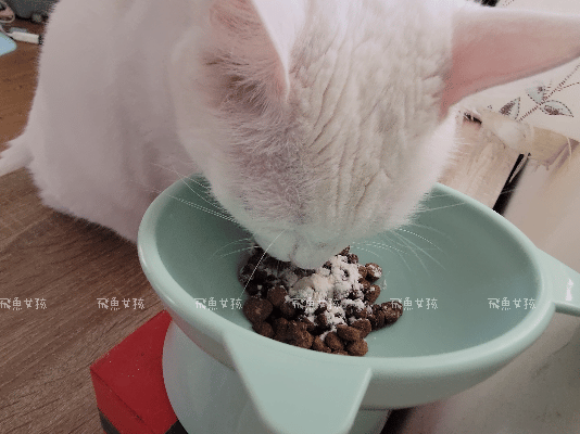 奧沛,OurPet,寵物活力充沛,適口性極好,0人工香料,CP值高,寵物魚油,魚油粉,貓魚油,狗魚油,奧沛ourpet貓用腸沛錠,奧沛ourpet犬用關沛錠ptt,奧沛dcard,貓咪關節保健dcard,貓咪魚油推薦dcard,貓咪魚油推薦ptt,貓咪魚油怎麼餵,貓魚油多久吃一次,貓魚油多久吃一次dcard貓咪魚油粉