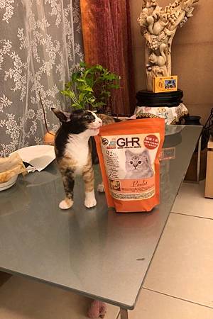 IMG_E7133.JPG 試用