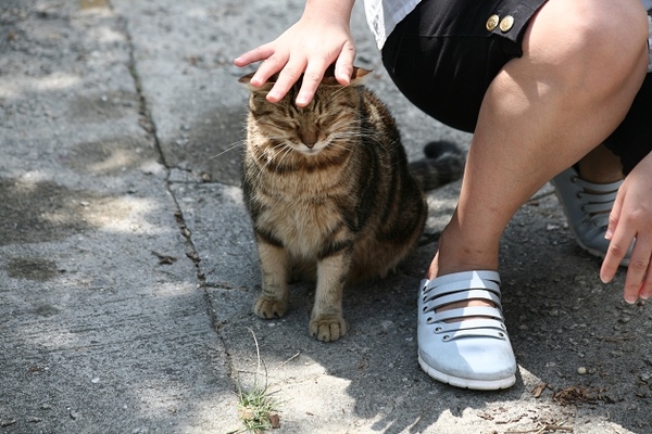 nEO_IMG_IMG_8852
