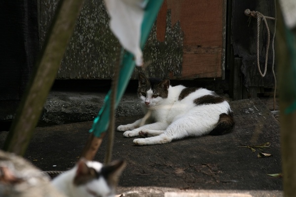 nEO_IMG_IMG_8904