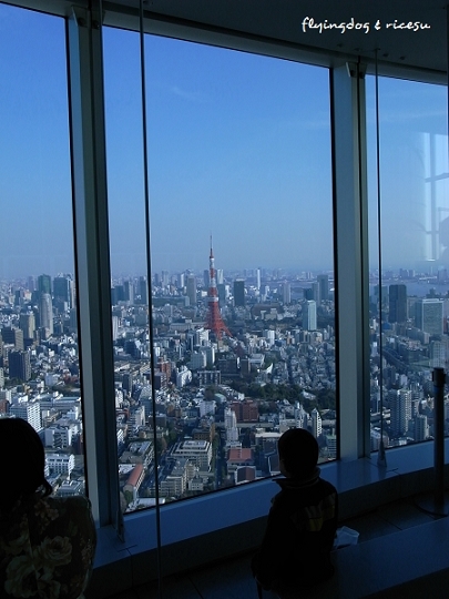 nEO_IMG_13