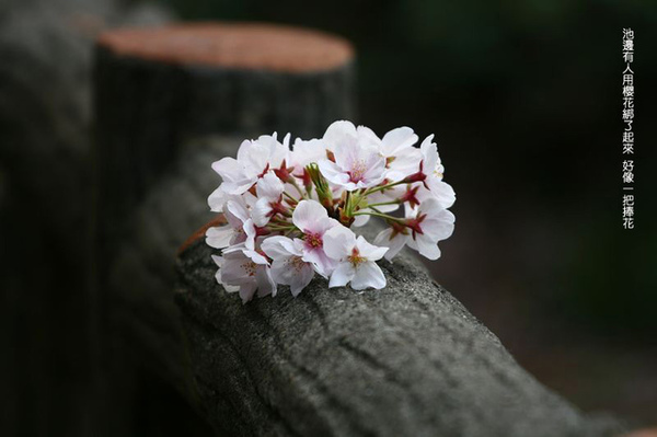 IMG_4141_nEO_IMG拷貝