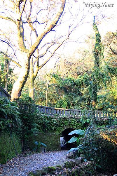 陽明山後山公園