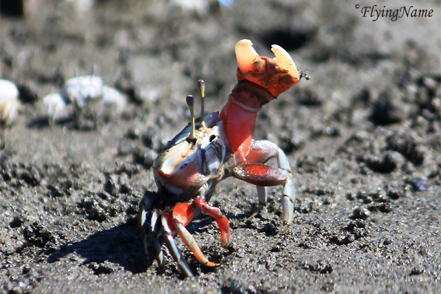 IMG_5006_640_sign.jpg IMG_5006_640_sign.jpg