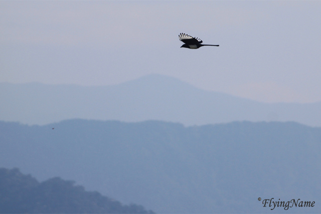 IMG_5295_640_sign2.jpg IMG_5295_640_sign2.jpg