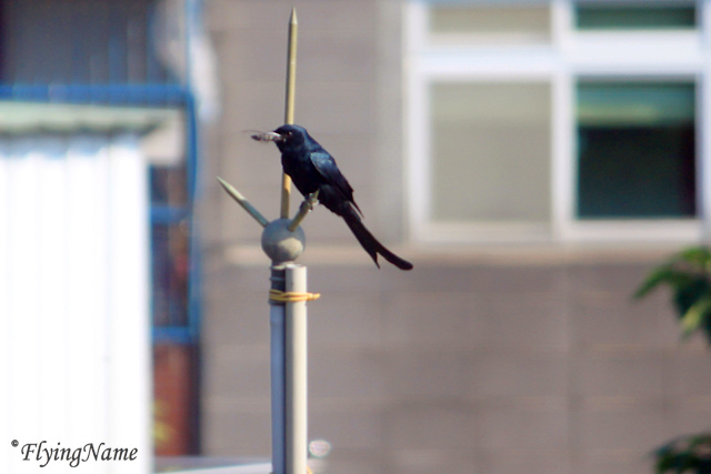 IMG_5445_640_sign.jpg IMG_5445_640_sign.jpg