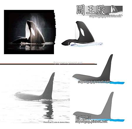 閻王殿模板(?) 閻王殿模板(?)