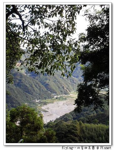 小木屋後山