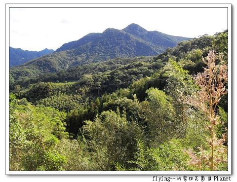 小草原望去的風景