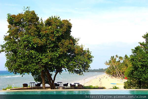 2015.08.18 235.jpg 2015.08.18 235.jpg