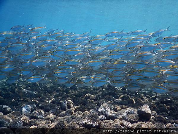 2015.11.10 232 2015.11.10 232