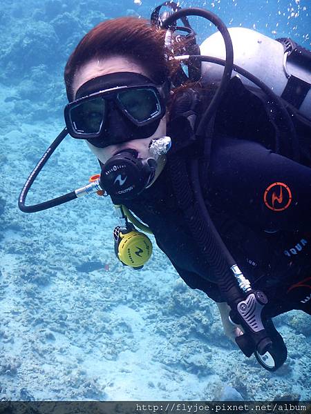 2015.11.11 302.JPG 2015.11.11 302.JPG