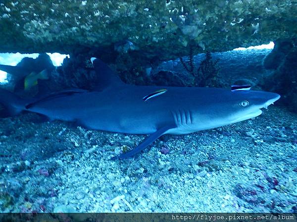 2015.11.11 313.JPG 2015.11.11 313.JPG