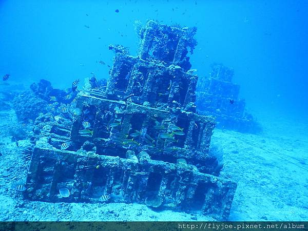 2015.11.12 130.JPG 2015.11.12 130.JPG