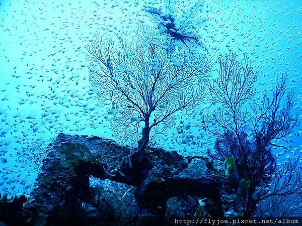 2015.11.12 141.JPG 2015.11.12 141.JPG