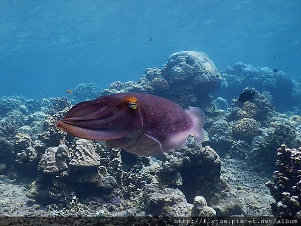 2015.11.12 228.jpg 2015.11.12 228.jpg