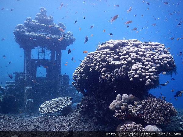 2015.11.12 231.JPG 2015.11.12 231.JPG