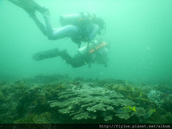 2015.11.17 111.JPG 2015.11.17 111.JPG