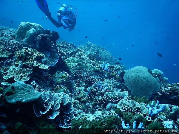 2015.11.17 207.JPG 2015.11.17 207.JPG