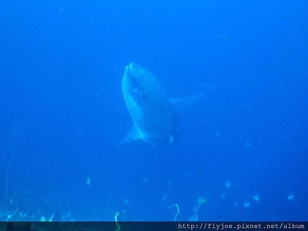 2015.11.17 210.jpg 2015.11.17 210.jpg