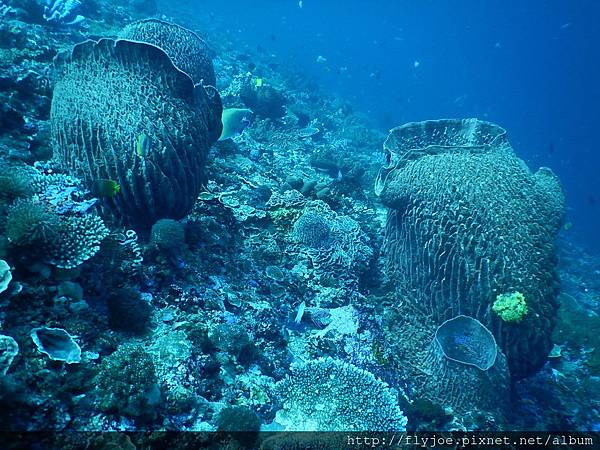 2015.11.17 212.JPG 2015.11.17 212.JPG