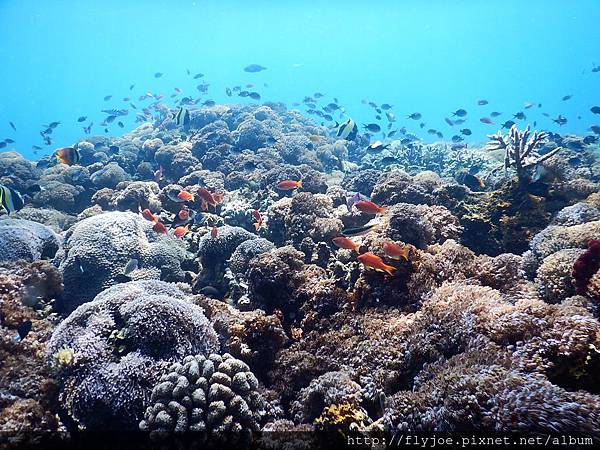 2015.11.17 217.JPG 2015.11.17 217.JPG