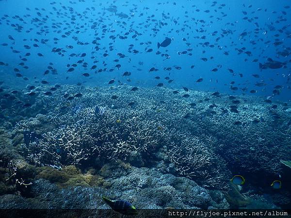 2015.11.17 219.JPG 2015.11.17 219.JPG