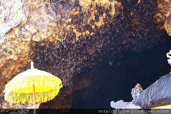 2015.11.09 013.jpg 2015.11.09 013.jpg