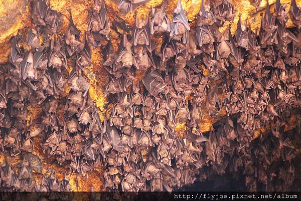 2015.11.09 014.jpg 2015.11.09 014.jpg