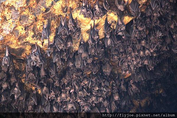 2015.11.09 016.jpg 2015.11.09 016.jpg