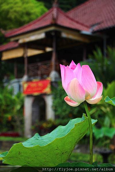 2015.11.09 112.jpg 2015.11.09 112.jpg