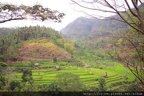 2015.11.09 135.jpg 2015.11.09 135.jpg