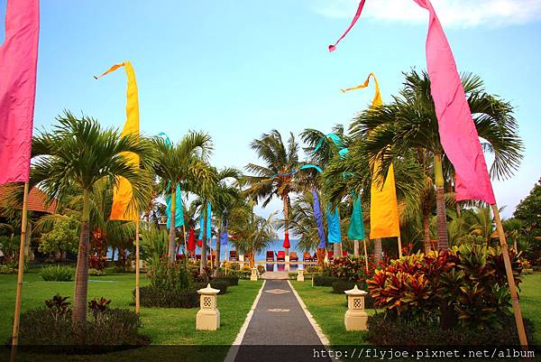 2015.11.10 015.jpg 2015.11.10 015.jpg