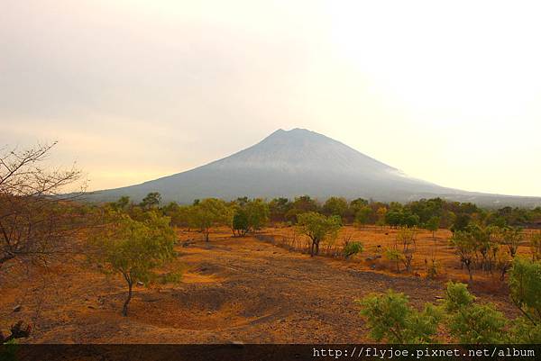 2015.11.12 301.jpg 2015.11.12 301.jpg