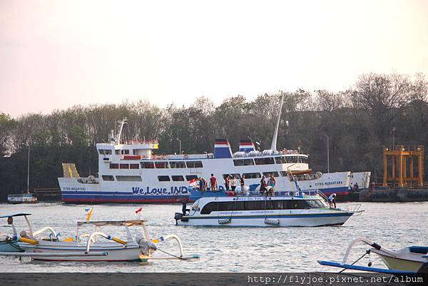 2015.11.16 017.jpg 2015.11.16 017.jpg