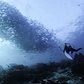 20180429-122.jpg