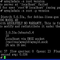Ubuntu-MySQL-set06.JPG