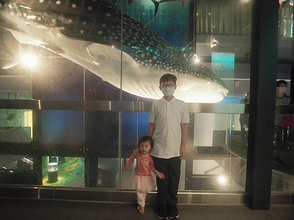 基隆景點 國立海洋科技博物館-海龜的奇幻旅程-全國最大IMAX3D-親子共遊體驗-海科館兒童館超好玩-基隆室內景點推薦 (11).jpg