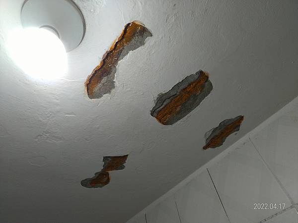 P_20220417_122801.jpg P_20220417_122801.jpg