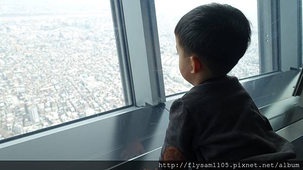 DSC07009 (1).JPG DSC07009 (1).JPG