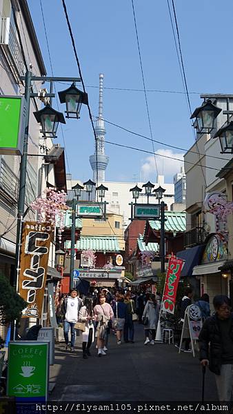 DSC07072.JPG DSC07072.JPG