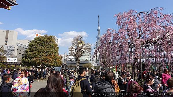 DSC07088.JPG DSC07088.JPG