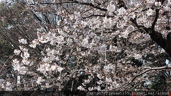 DSC07198.JPG DSC07198.JPG