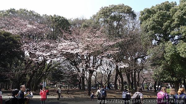 DSC07195.JPG DSC07195.JPG