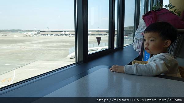 DSC07231.JPG DSC07231.JPG